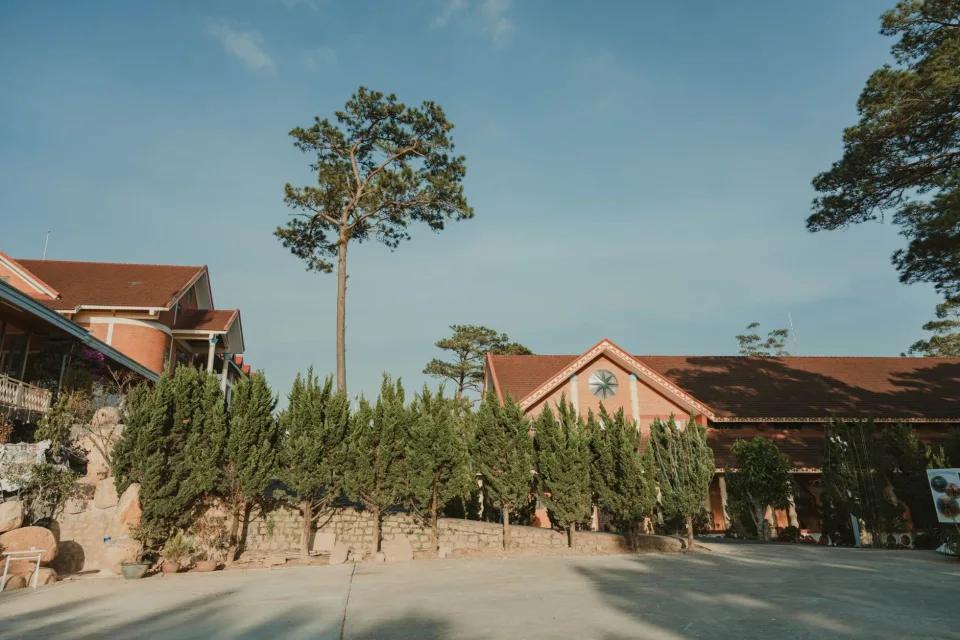 Hình ảnh tại Nguyễn Văn Trung 5